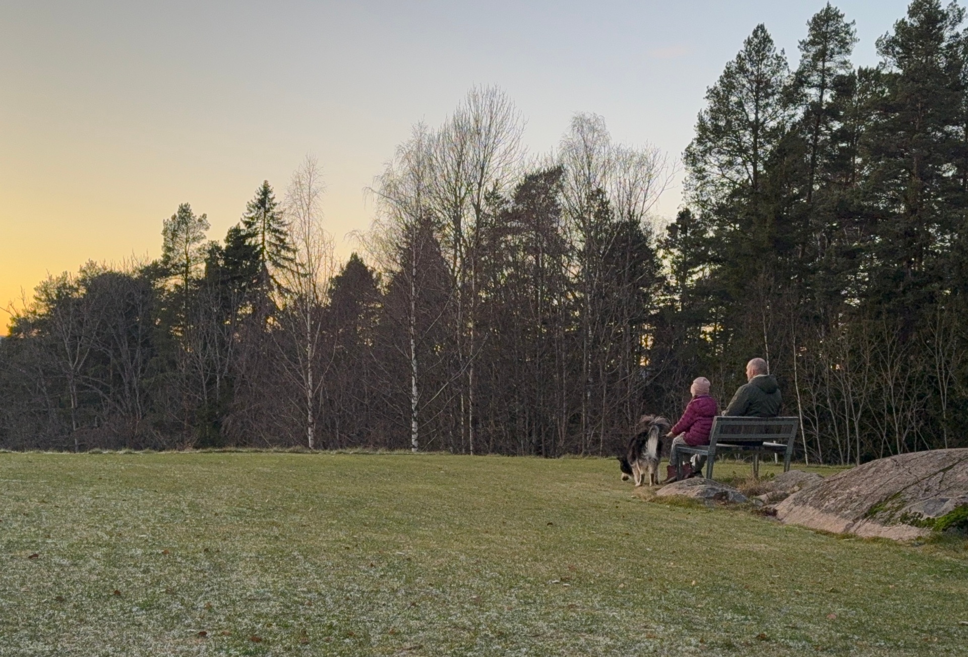 Discgolfspillere tar en pause på en benk i kveldssol med skog og åpent landskap i bakgrunnen