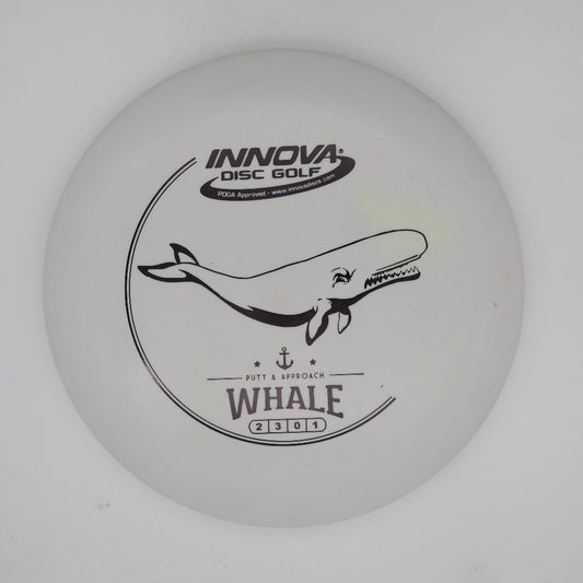 Whale Dx